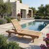 Capri Sun Lounger Adjusted Back & Side Tray