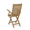 Tropico Folding Armchair (sell & price per 2 chairs only)