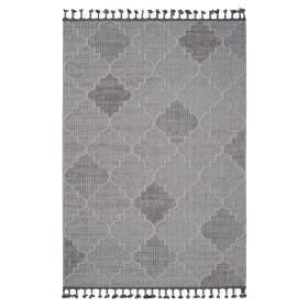 5X7 White/Grey /Trellis Indoor/Outdoor Area Rug