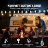 LED Outdoor String Lights, 50FT, 2700K Dimmable Outside Patio Lights with 15 S14 Shatterproof Bulbs E12 Socket Base